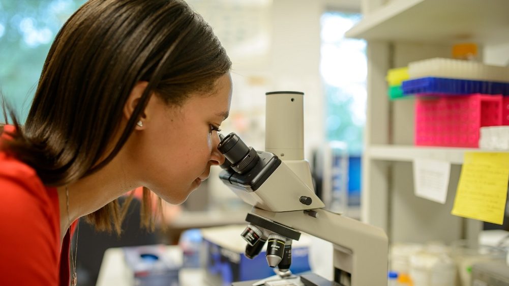 Holmes looking into a microscope