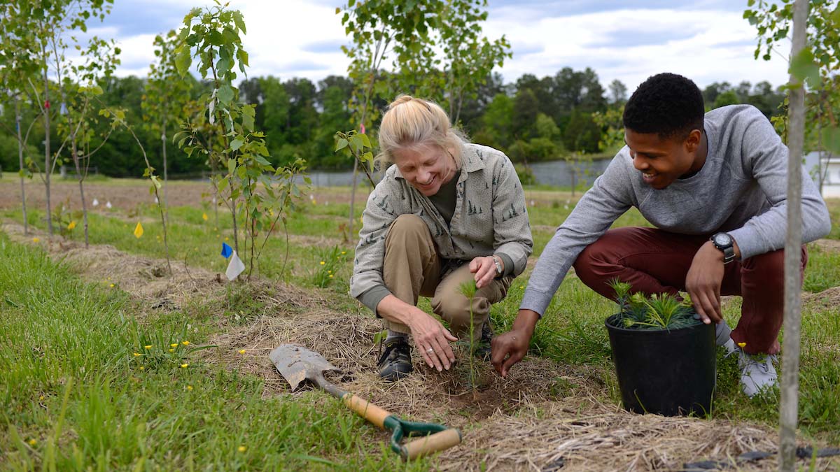 students in the field