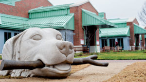 NCSU Terry Center Vet Hospital entrance