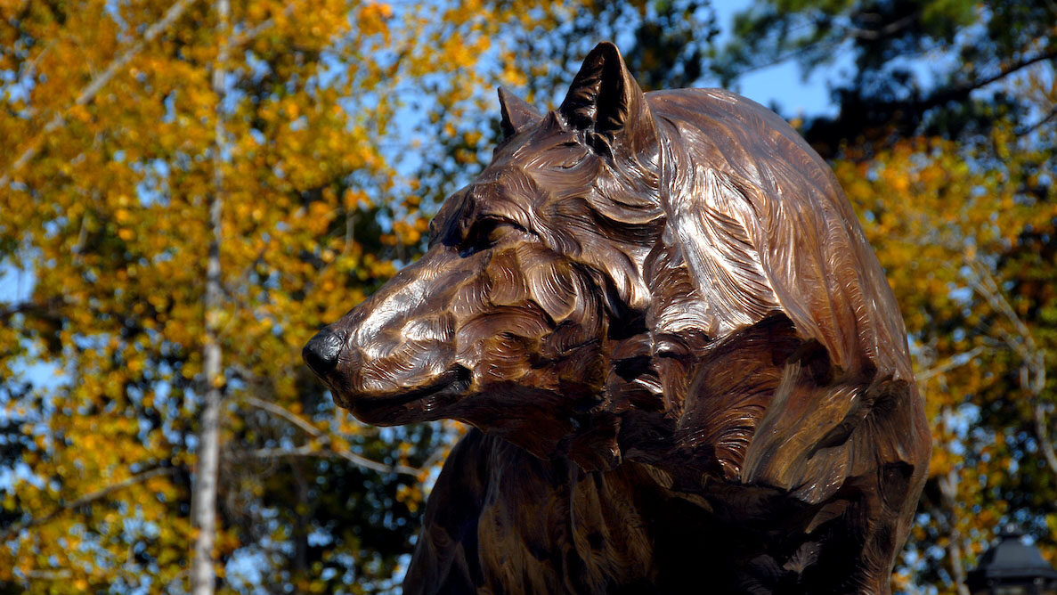 wolf statue on campus