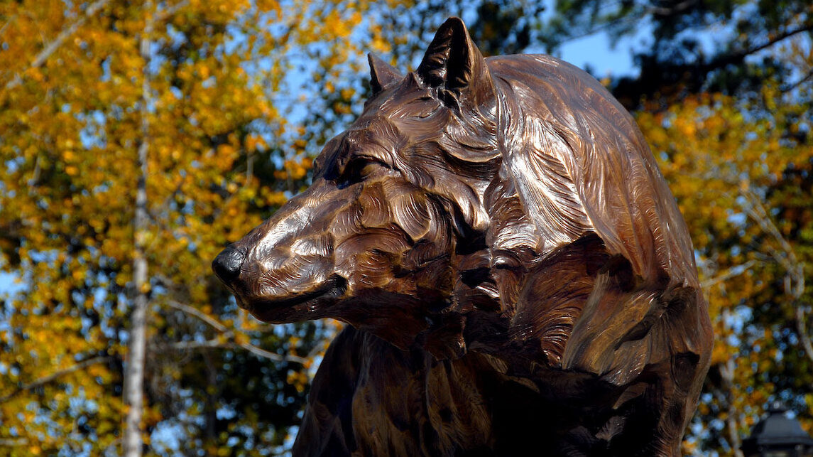 wolf statue on campus