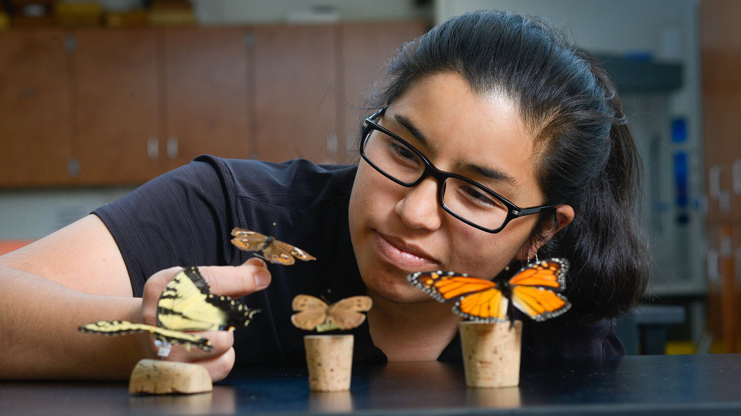 Kiekebusch with butterflies