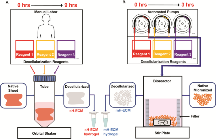 Harvesting Extracellular Matrix Biomaterials