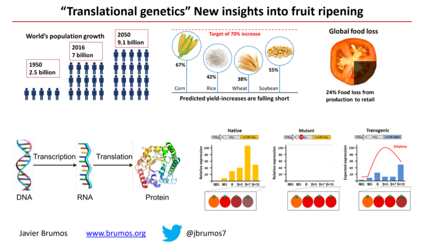 Translational Genetics Research Overview