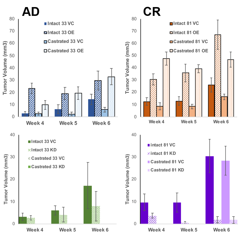 Tumorigenic Potential in Mice Graph