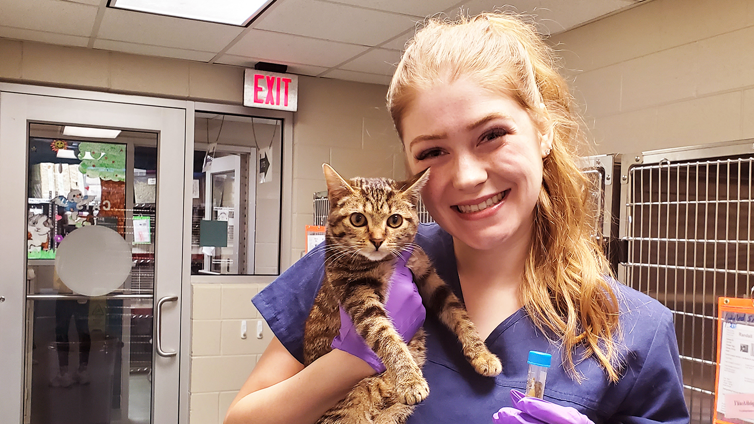 Woman holding a cat in an animal shelter