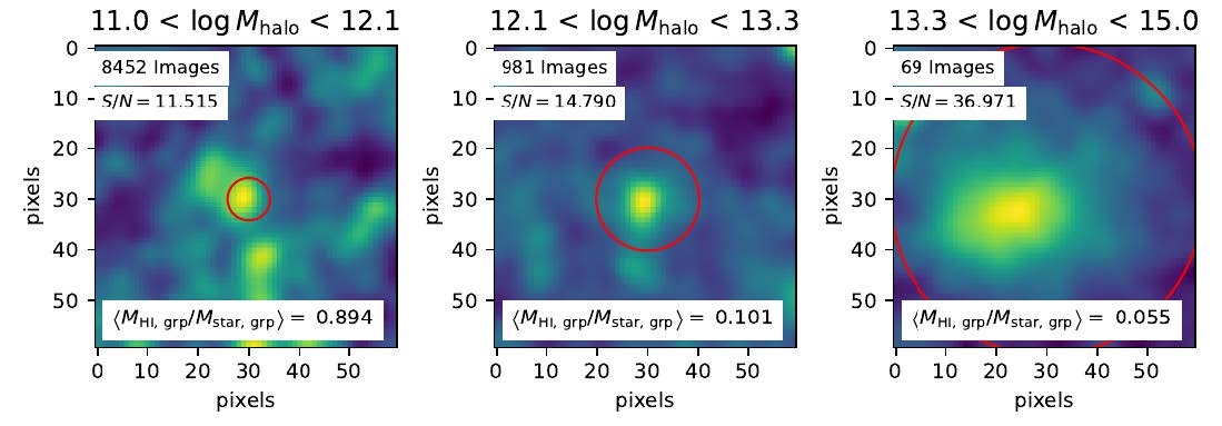 Graphs showing x-ray images of galaxies