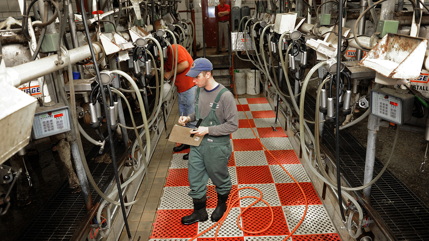 man in coveralls in a dairy processing room