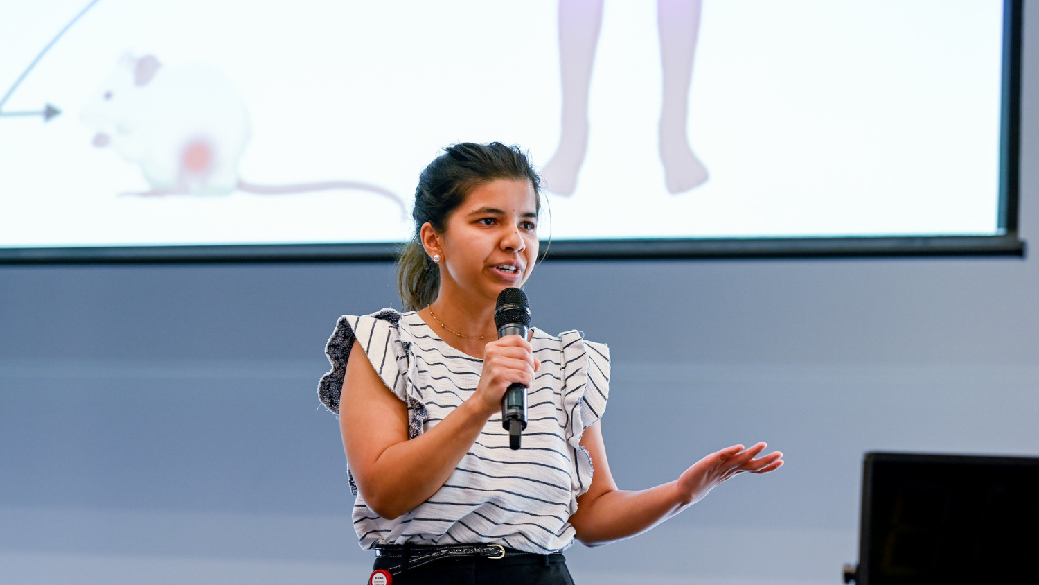 Three Minute Thesis Competition 